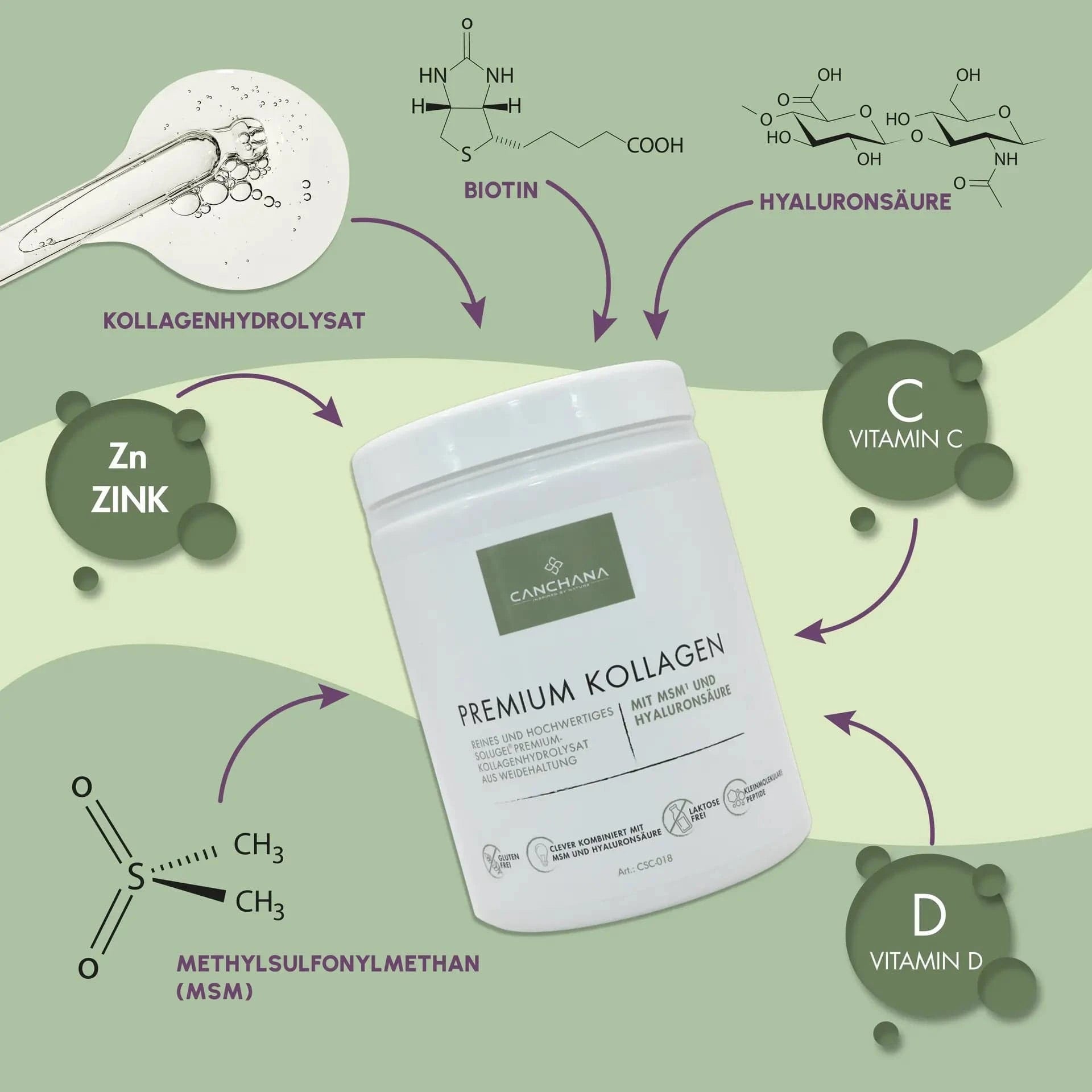 Premium Collagen