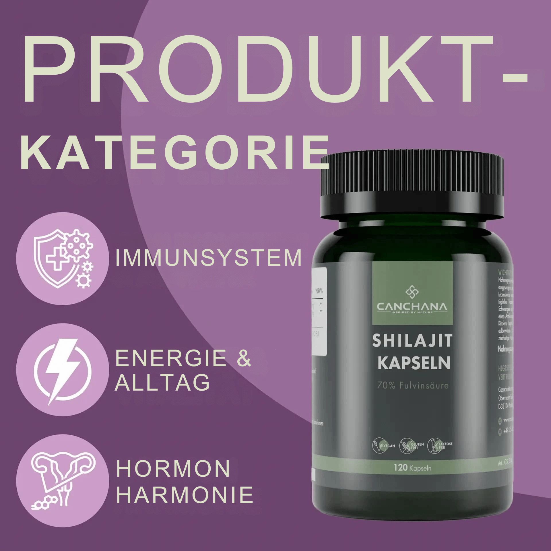 Shilajit Kapseln