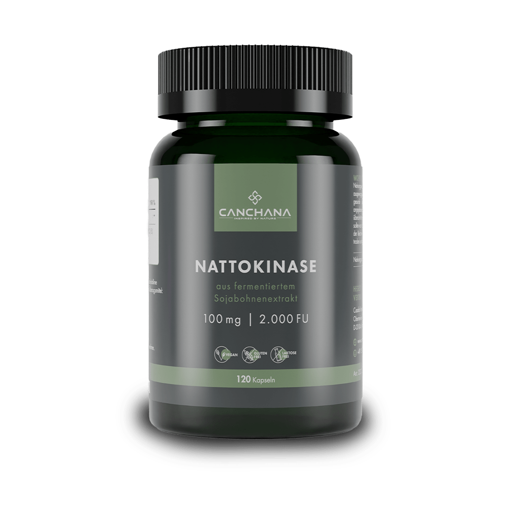 Nattokinase 2000 FU