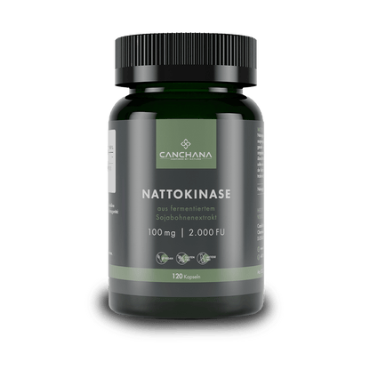 Nattokinase 2000 FU