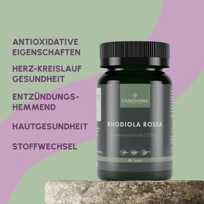 Rhodiola Rosea
