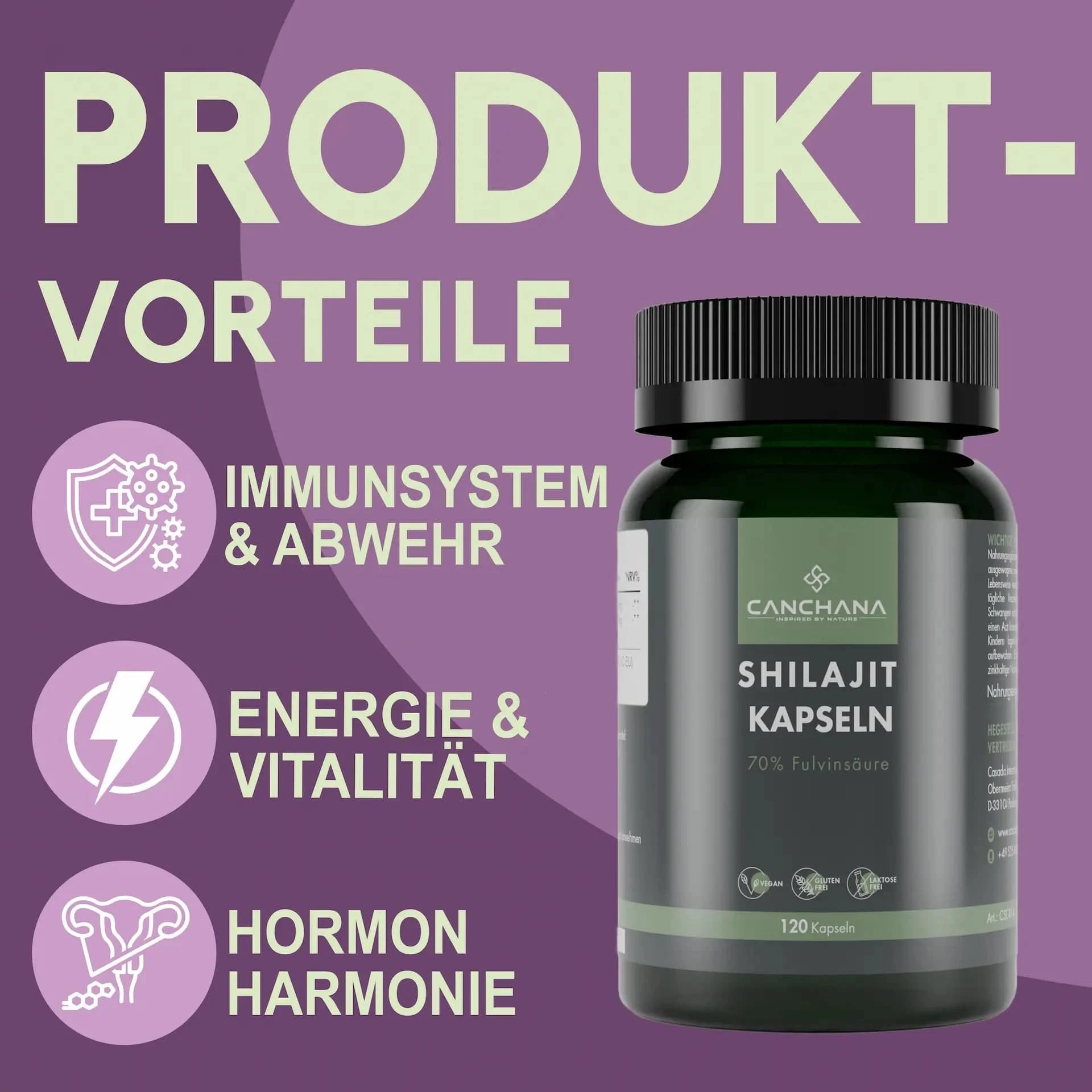 Shilajit Kapseln