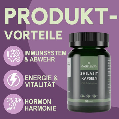 Shilajit Kapseln