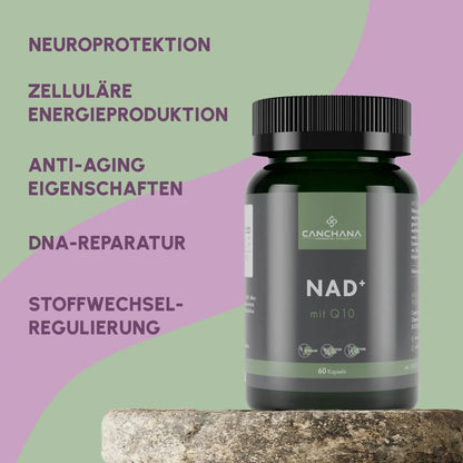 NAD+