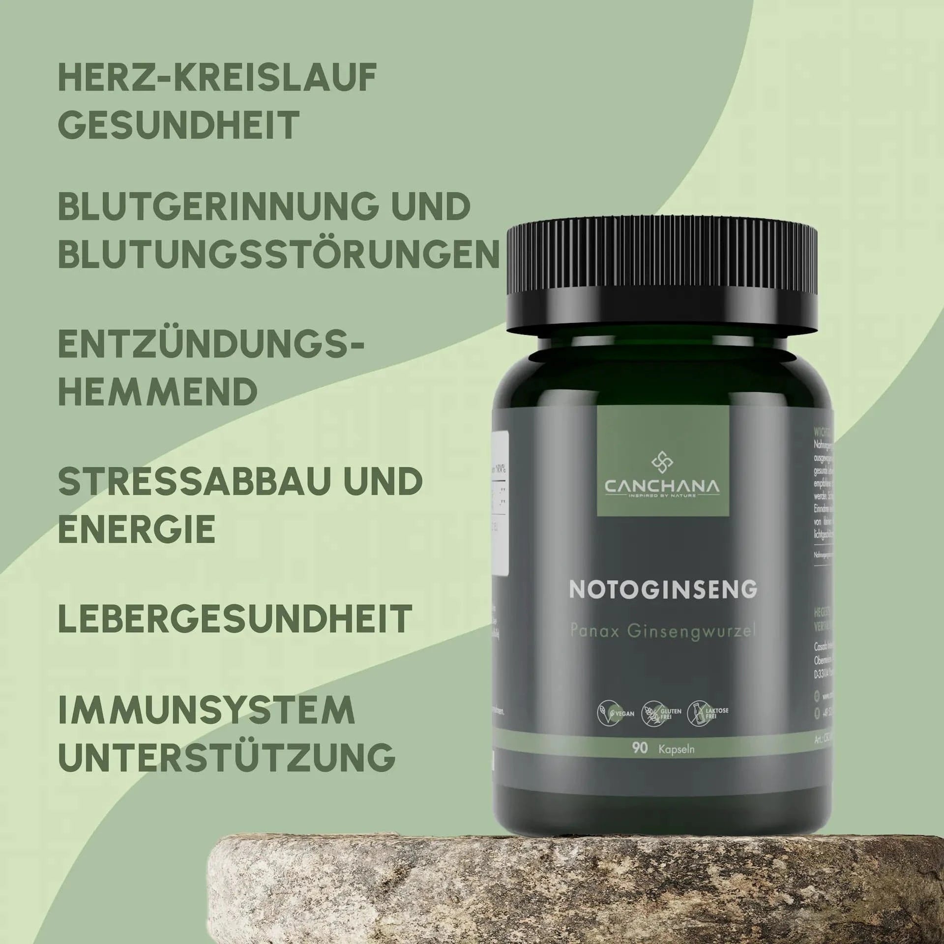 Notoginseng