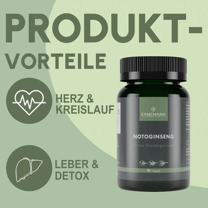 Notoginseng