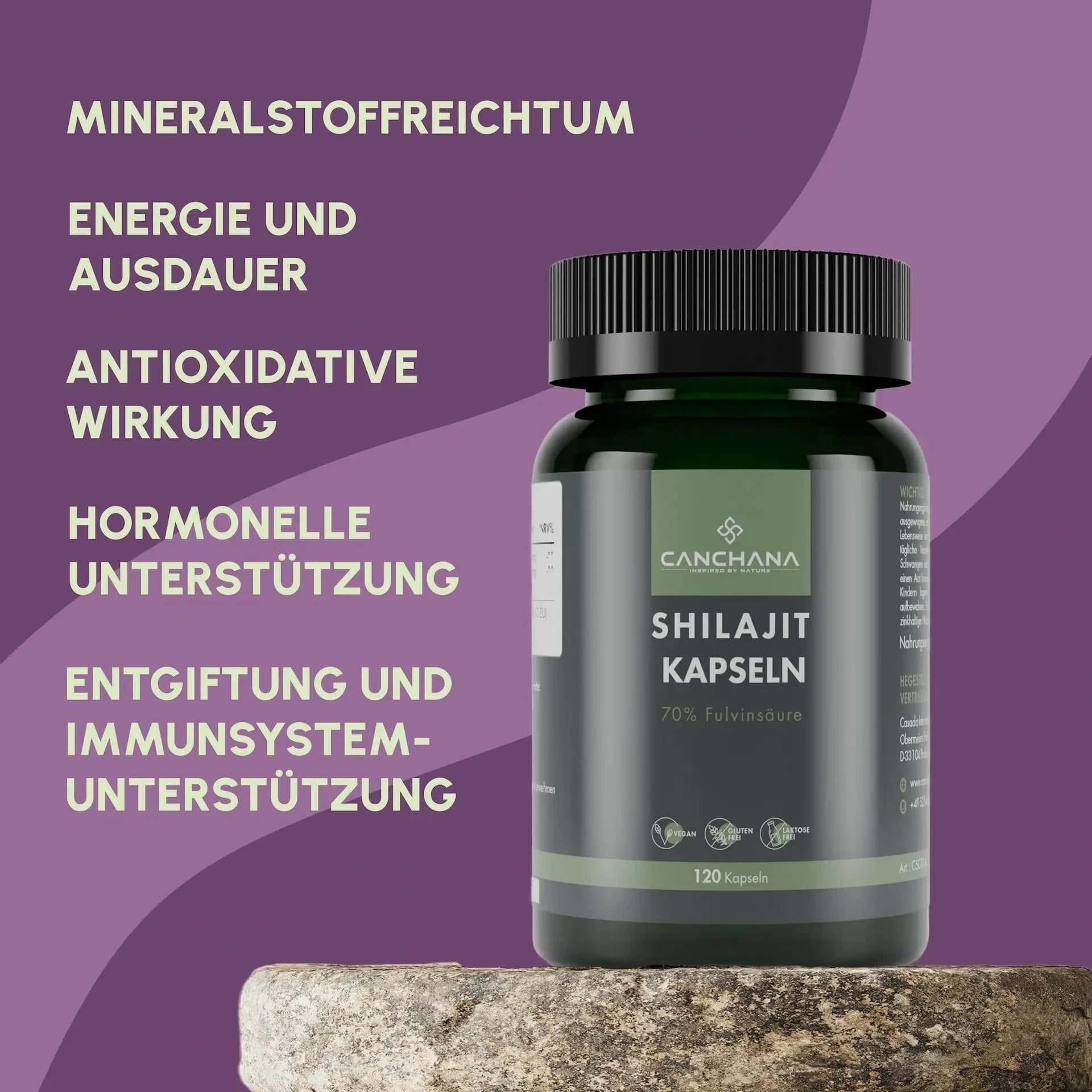 Shilajit Kapseln