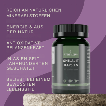 Shilajit Kapseln